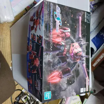 HG 즈고크 SEED FREEDOM Ver. & GUNPLA 15