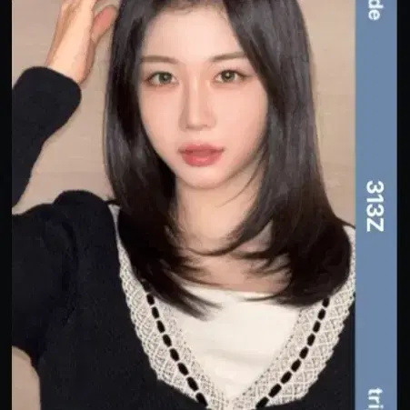 TRIPLES | 트리플에스 Triples Japan Wave Fan Club Object AA352