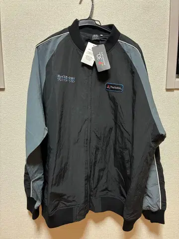 PlayStation 30주년 niko and -