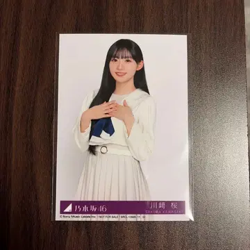 카와사키 사쿠라 브로마이드 츄 My respect Type B