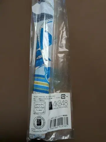 AKB48 A3 태피스트리 코지마 요나