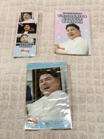 봄의 러프 페스 호쾌 캡틴 야마시타 도박 고릴라