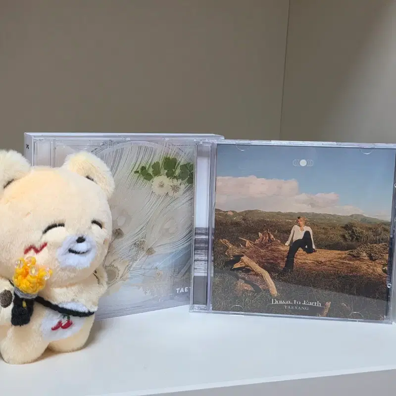 태양 비공굿 인형 영베어 & 태양 정규 3집 & 태양 ep 2집