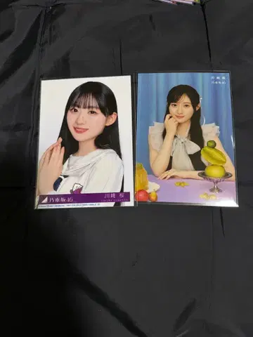 카와사키 벚꽃 브로마이드 5th 앨범 My respect