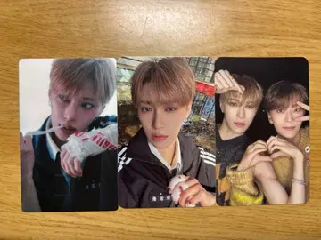 ALD1 아르노 세트