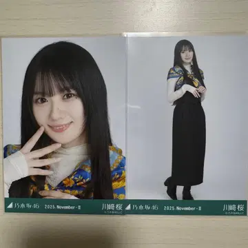 스카프 카와사키 벚꽃 더블