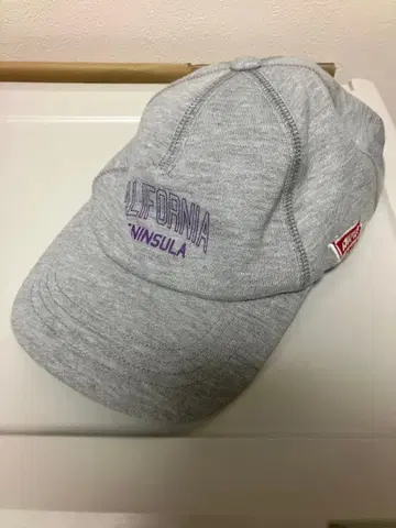 맨투맨 칼리지 로고 5 패널 캡