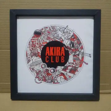 AKIRA 키리누키(22 x 22 프레임 부착) 오토모 가츠히로