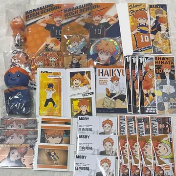 하이큐 카라스노 고교 히나타 쇼요 묶음 판매