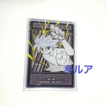 HUNTER x HUNTER 헌터헌터 스탯 카드 키루아