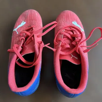 Puma 축구화 스파이크 핑크/블루