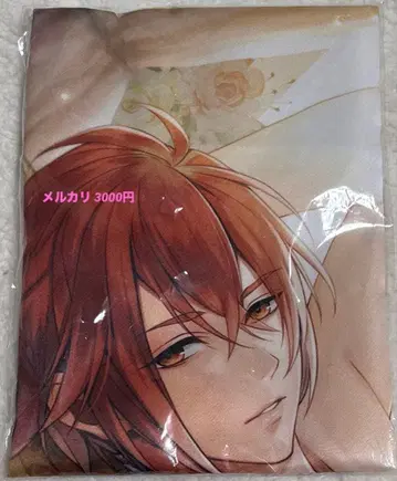 미남 겐지전 너의 옆의 미소 복권 나스노 요이치 쿠션 커버