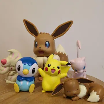 포켓프라 6개 세트