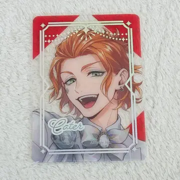 트위스테 플라티나 자켓 케이트 클리어 카드 라스트