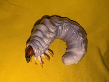 레어 생물대도감 사슴벌레02 [톱사슴벌레 유충]