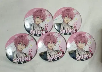 스토푸리 사토미 캔 배지 아리투어 후반 블랙 의상 등신