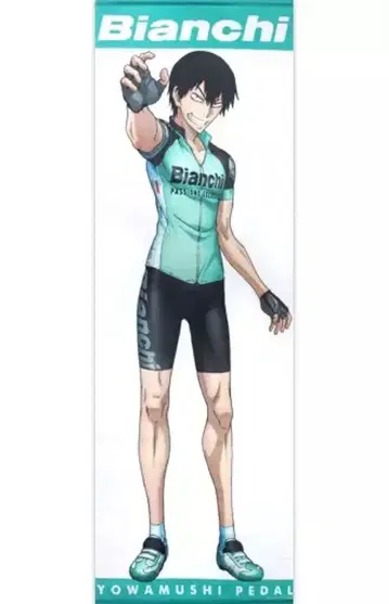 태피스트리 아라키타 야스토모