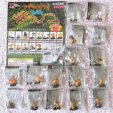 시크릿 카오모지 버섯 역시 독버섯 3 피규어 풀컴프 레어