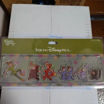 도쿄디즈니씨 아크릴 키링 세트