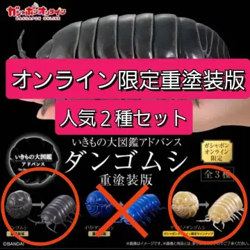 알비노 공벌레 공벌레 중페인팅판 온라인 생물대도감 어드밴스