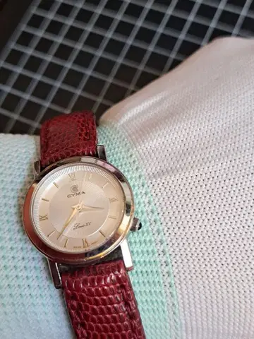 116-TK CYMA Luxe XV 손목시계 가죽 여성용