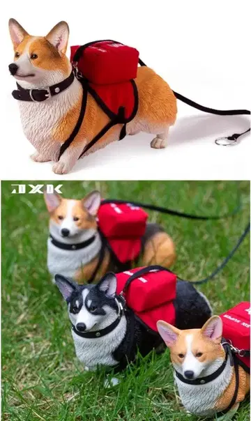 JXK 093 머리 교체 코기 3종 피규어 초 리얼 입상