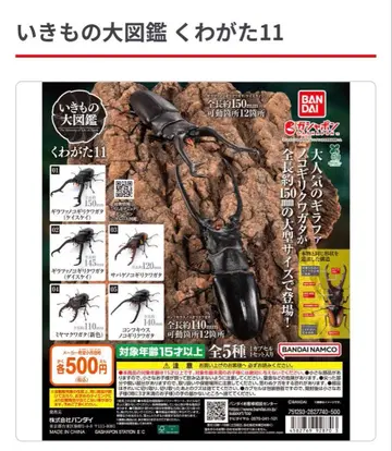 생물대도감 사슴벌레 11 전 5종 컴플리트 세트 컴프 전종