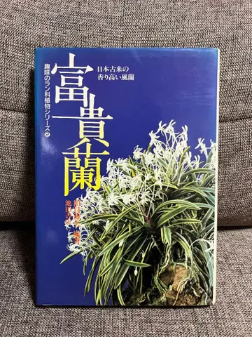 후키란 일본 고래의 향기로운 풍란