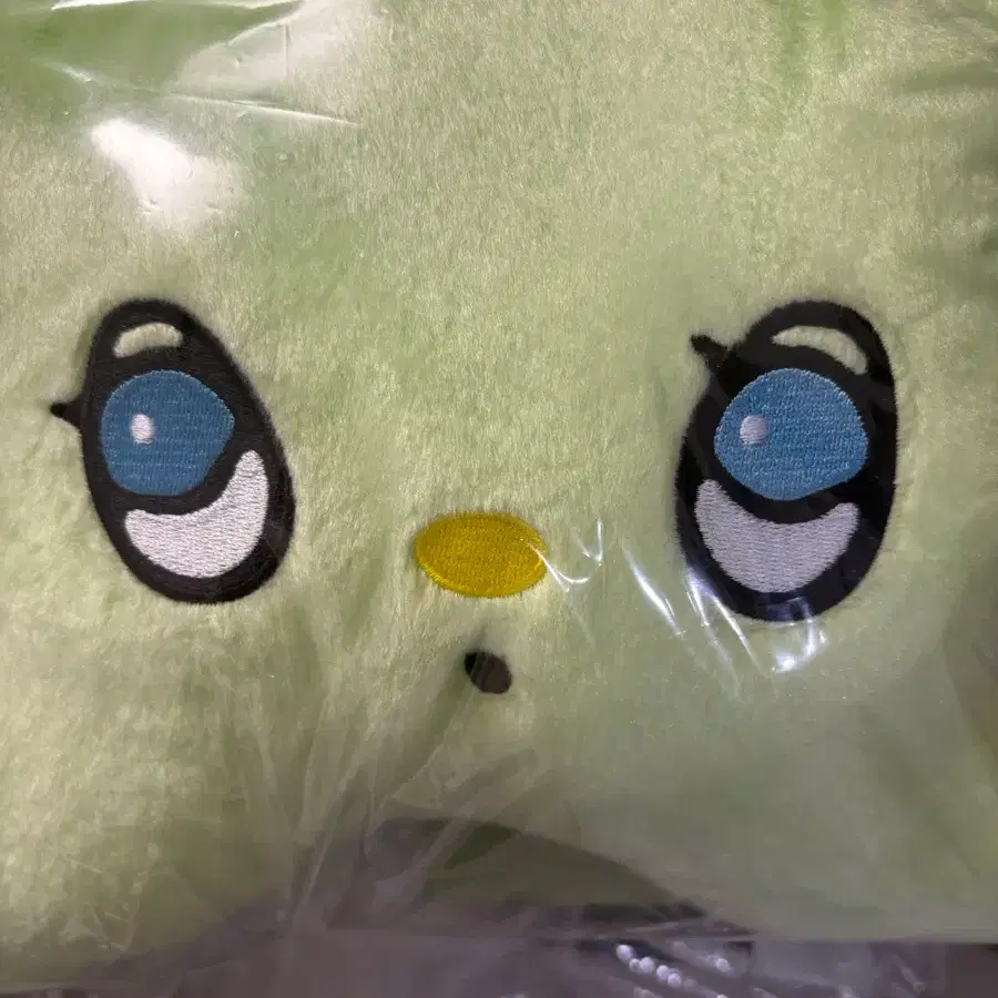 NCT Wish Wichu Cushion Transfer on Bunjang Global Site.