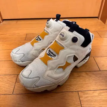 리복 펌프 퓨리