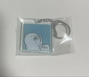 농담곰 아크릴 키링