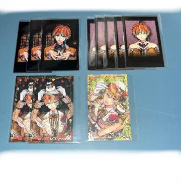 악마 집사와 검은 고양이 아쿠네코 테디 폴라로이드풍 카드 바토콜레 산리오