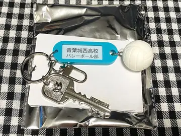 하이큐!! 트레이딩 고교명 포함 열쇠 참 키링 아오바죠사이 고교