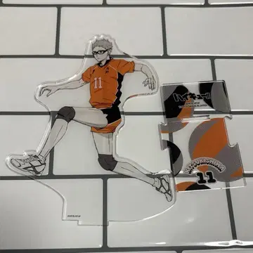 하이큐 츠키시마 케이 전신 아크릴 스탠드