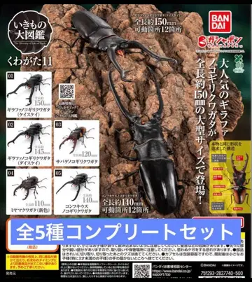 생물대도감 사슴벌레11 전 5종 컴플리트 세트