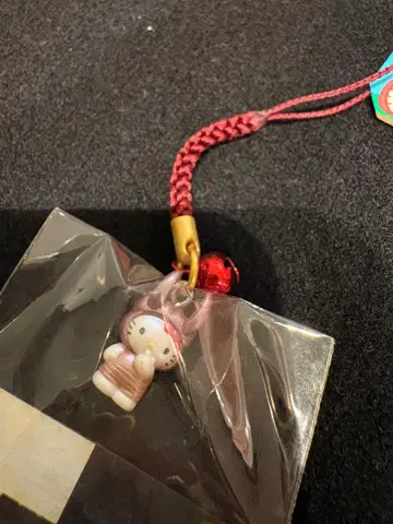 헬로키티 여름 한정판 사슴벌레