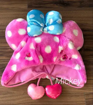 디즈니 팔팔루자 미니의 판타지랜드 팬캡