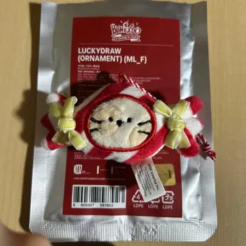 BOYNEXTDOOR 성호 케피 오너먼트 럭드