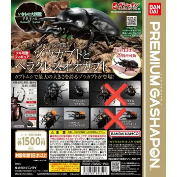 [캡슐판] 생물대도감 코끼리장수풍뎅이와 헤라클레스 장수풍뎅이 2종 세트