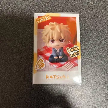 히로아카 룩업 스냅 카드 바쿠고