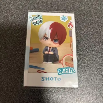 히로아카 룩업 스냅 카드 토도로키