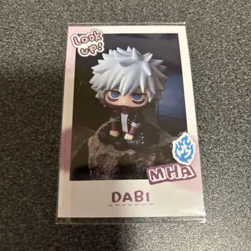 히로아카 룩업 스냅 카드 다비