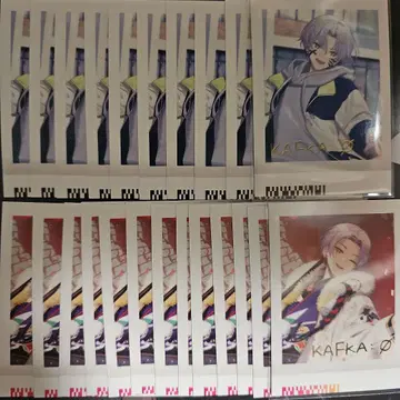 18Trip 파샤코레 Vol.2 다이코쿠 카후카