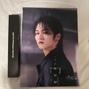 StrayKids 리노 태피스트리