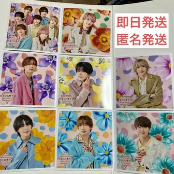 나니와단시 패밀리 클럽 스토어 정사각형 사진 Floral 전종 8장 세트