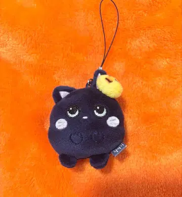 riize 토냥독 원빈 미니 인형 키링 마스코트