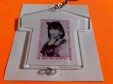 아라이 아야에 AKB48 T셔츠형 랜덤 키링 샴 고양이