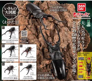 생물대도감 사슴벌레 11 전 5종