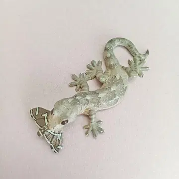 네이처 테크니컬러 MONO 일본 도마뱀 피규어 마스코트 포식