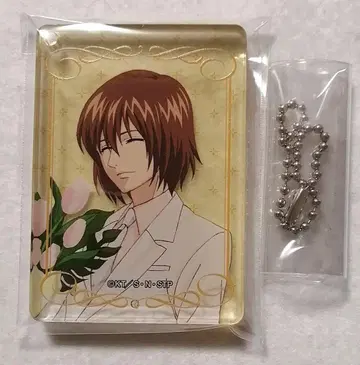 테니스의 왕자님 테니프리스트 스퀘어 아크릴 키링 후지 슈스케